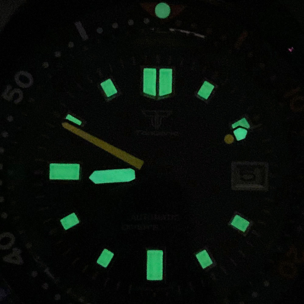 ساعة تاندوريو 20ATM بقطر 44 مم - مراجعة Luxury Watch With Green Dial وسعره